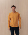 Maglione Girocollo Giallo REGENT LAMB96 MC2 ST BARTH